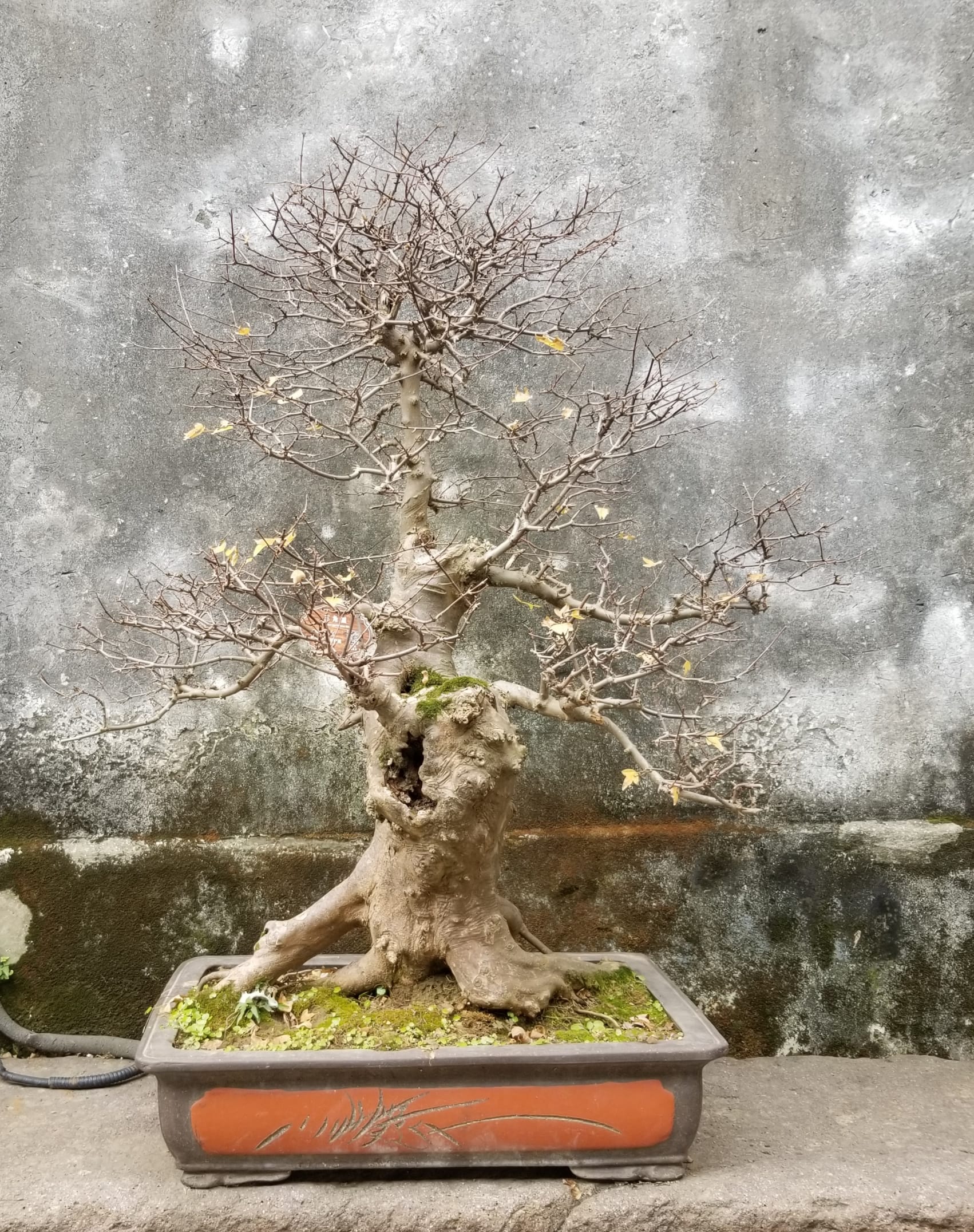 Autumn Children's Class Schedule 2025