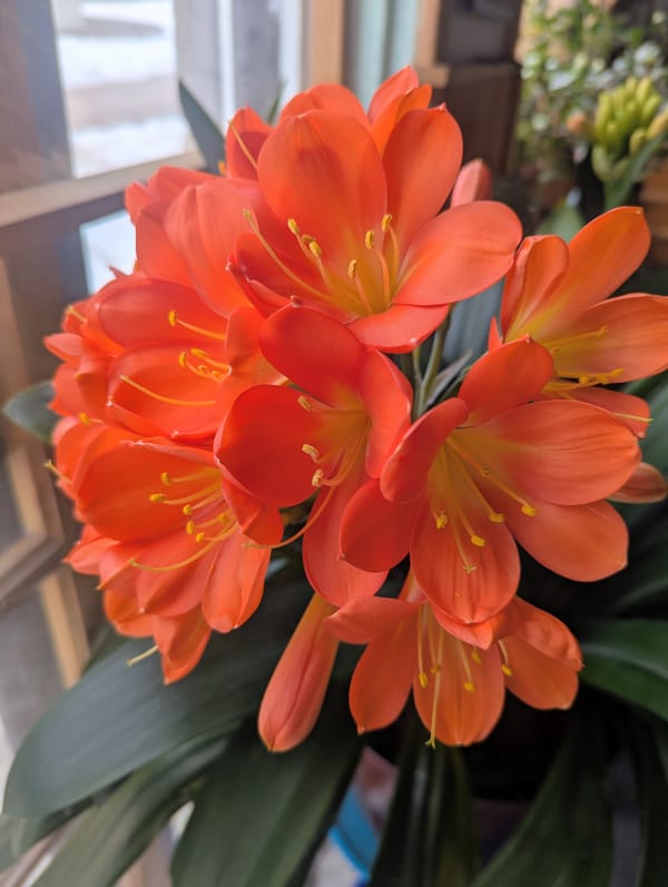 Spring Children's Class Schedule 2026