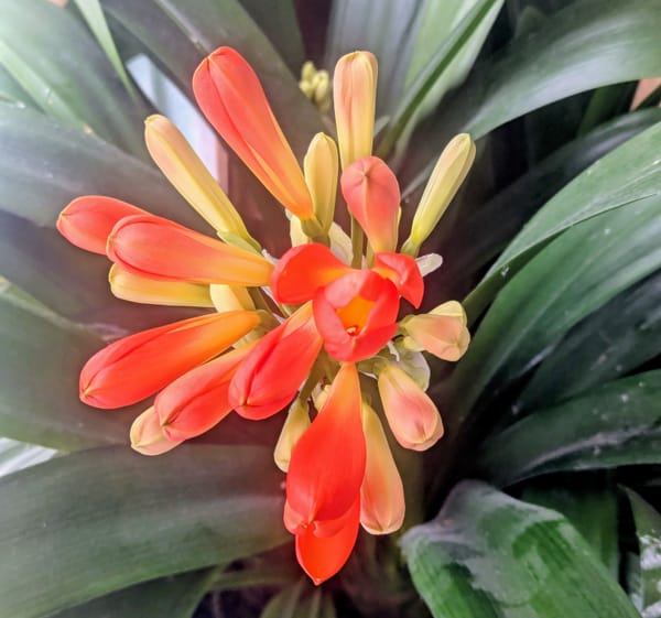 Spring Children's Class Schedule 2026